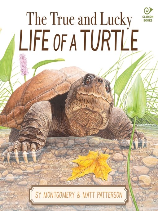 Title details for The True and Lucky Life of a Turtle by Sy Montgomery - Available